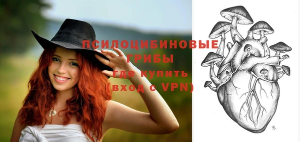 гидропоника Волоколамск