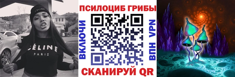 Галлюциногенные грибы Psilocybine cubensis  закладки  ОМГ ОМГ сайт  Ипатово 